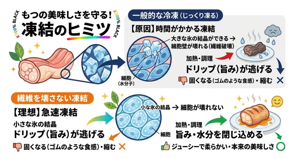 冷凍方法の違いによる細胞への影響と、調理後の品質変化を比較解説するイラスト図解。